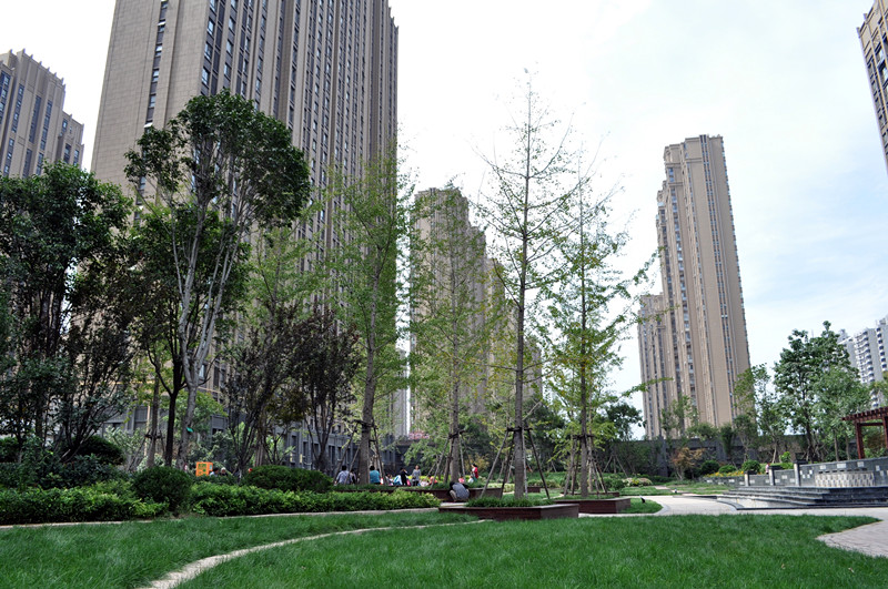 綠地國(guó)際花都A2地塊一期景觀綠化土建水電工程